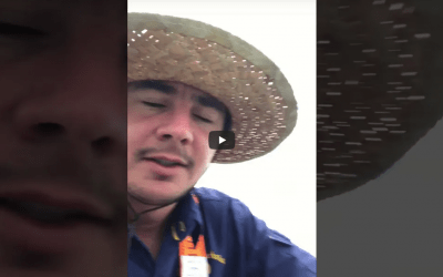 Dodgy Solar Installers With Zero Care Factor! You Will Be Shocked.