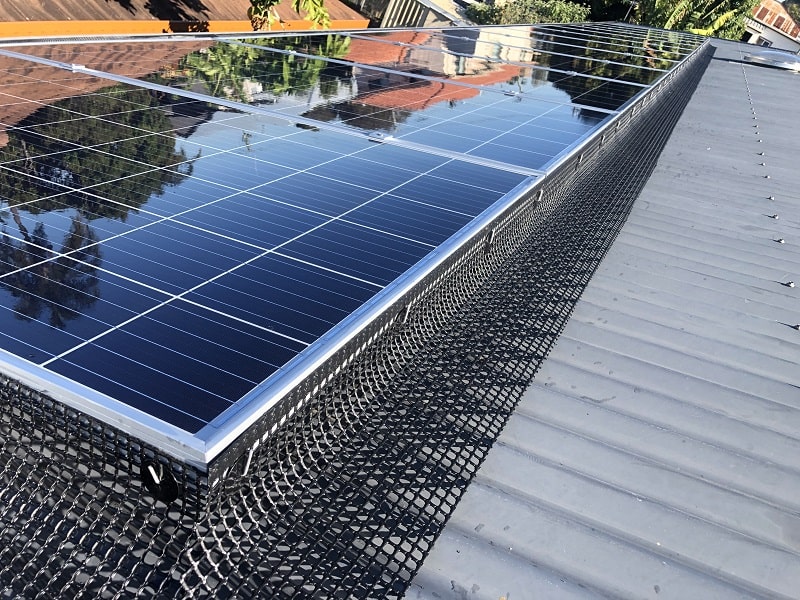 Solar Panel Bird Proofing