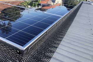 Solar panel bird proofing blurb